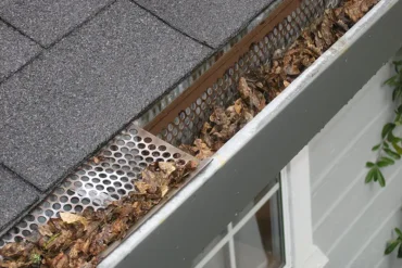 How Often Should You Book A Gutter Cleaning Service?